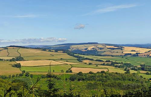 2 Bed in Taunton 96238 - Photo 23