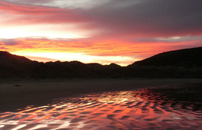 Catlins Newhaven Holiday Park - Foto 36