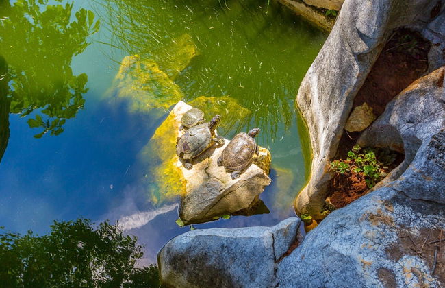 Modern Apartment in Pula With Swimming Pool - Foto 41