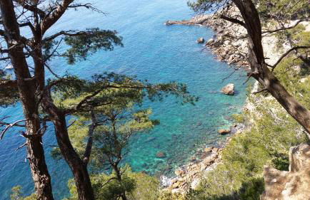 Lou Pauseto - Foto 18