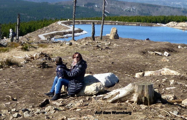 Holiday Apartment Weitblick at the spa Park - Foto 11