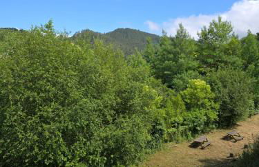 Corias Casona junto al Narcea - Foto 22