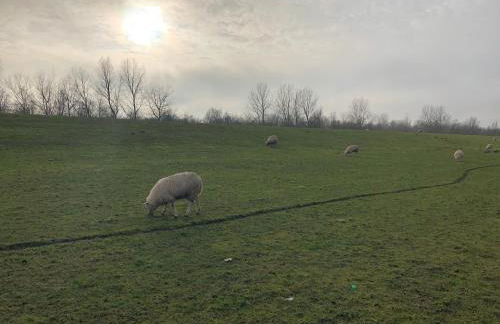 Haus Nordseeliebe mit Außensauna, Outdoor Dusche und Wallbox - Foto 37
