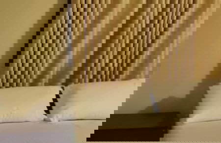 Blossoms Apartment - Photo 3