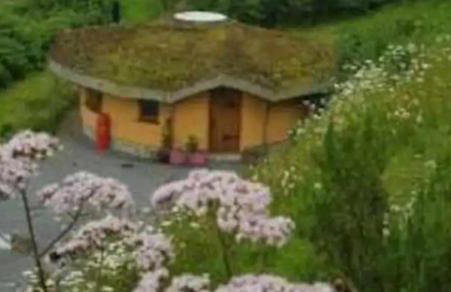 Tara vegetarian retreat guesthouse - Foto 8