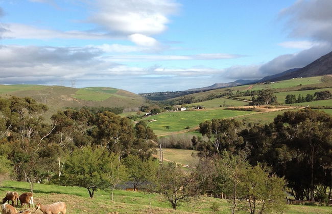 Swaynekloof Farm - Photo 60