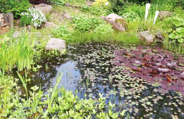 idylische Ferienwohnung - Foto 22