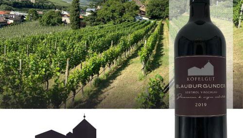 Weingut Köfelgut - Turris Vini - Foto 3