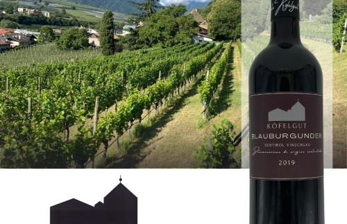 Weingut Köfelgut - Turris Vini - Foto 3