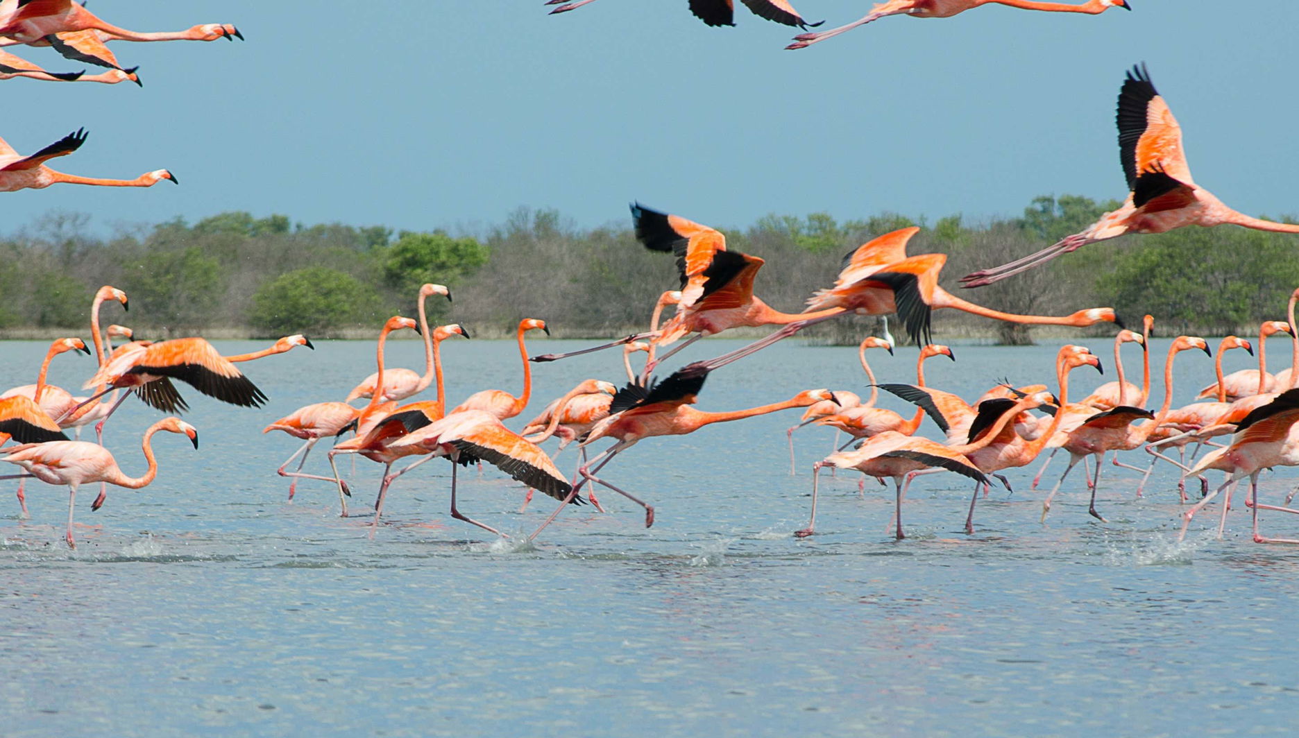 Escursione alle saline di Manaure e al santuario Los Flamencos