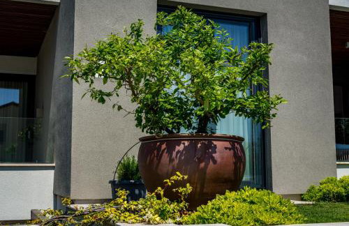 Rocca Riviera Umag Luxury Apartments - Foto 66