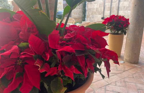 Corazón 23 - Foto 29