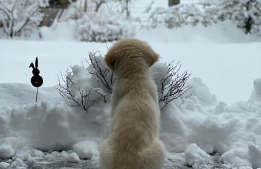 Residence Margreth - Foto 74