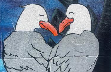 The Kite Shack - Foto 19