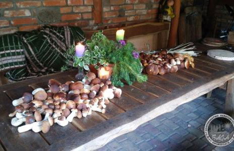 BAJA Gospodarstwo Agroturystyczne - Foto 6