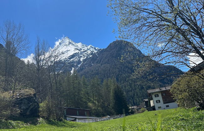 Chalet les Rocailles - Photo 10