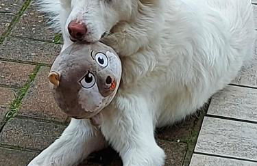 dimorafelice.sarteano - Photo 7