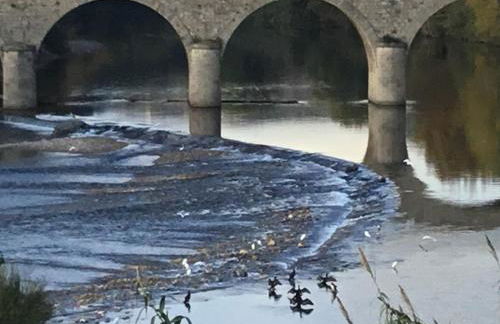 Marquise de Roc - Foto 17