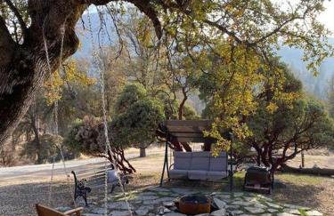 Modern House on 5 acr in Sequoia National Forest - Foto 44