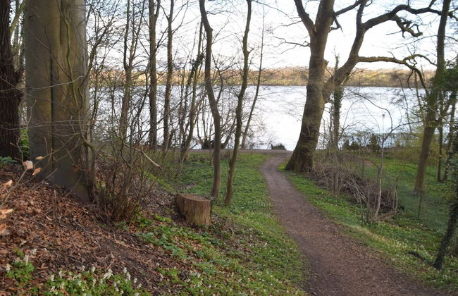 Flat in Eutin on the Kleiner Eutiner See Lake - Photo 66