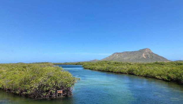 Balade en bateau à Monte Cristi - Photo 3, Paysage de mangroves