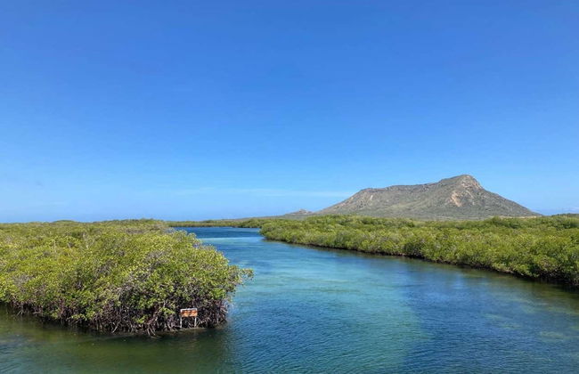 Monte Cristi Boat Trip - Photo 3