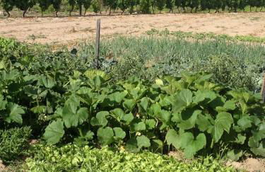 Casa Da Trigueira - Foto 61