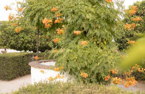 LA CUADRA, Finca a los pies de Sierra Nevada, a 10 minutos del centro, Piscina, Jardín, Barbacoa - Foto 46