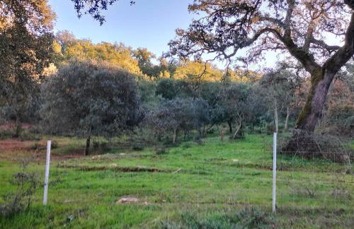 Cortijo Rural El Contador, con chimenea - Photo 51