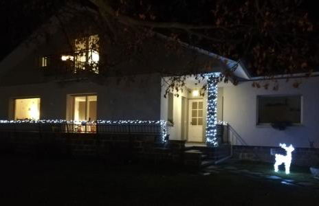 I tulipani - Foto 44