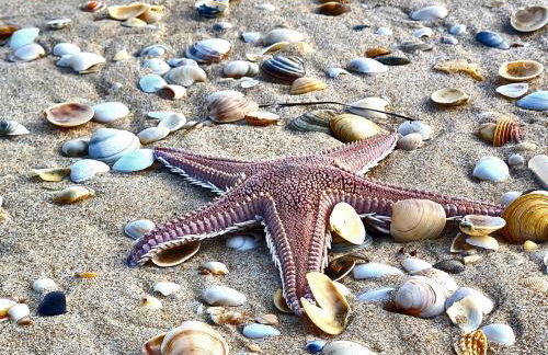 Casa da Torre - A Gema Escondida de Tavira - Foto 42