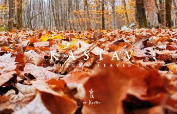 Va Kastav - Photo 49