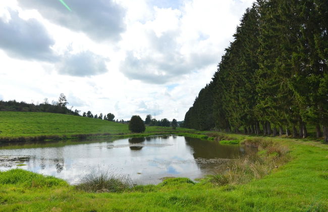 Gite With Lake View - Foto 57