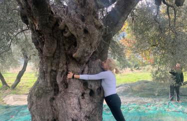 Villa Aurora - Foto 1