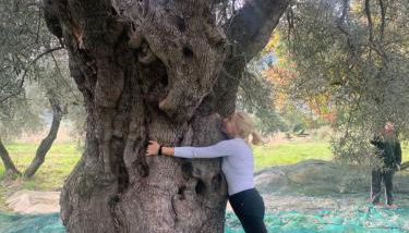 Villa Aurora - Foto 1