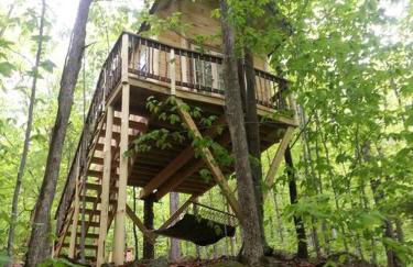 Maine Woods Treehouse-The Birdie - Foto 1