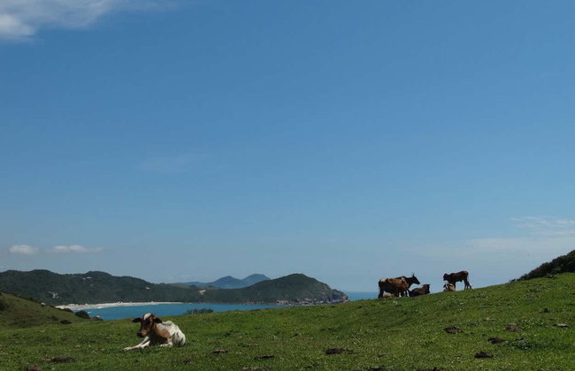 Randonnée au Camino do Rei - Photo 6