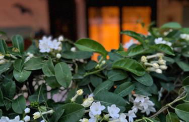 Popis Maison - Photo 28