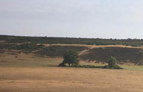 Shepherds Hut with Hot Tub - Foto 22