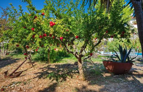 Kamelia Villas - Photo 32