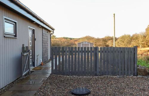 Pine Marten - Foto 26