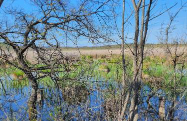 Lovrini Dvori - Photo 20