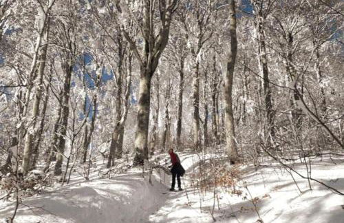 Au Repos du Fayé - Foto 19