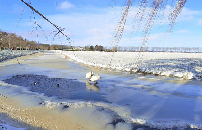 Comfy Holiday Home with Fenced Courtyard in Edam near Center - Photo 40