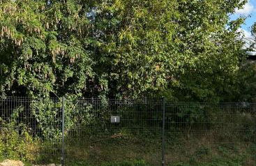 Au coeur des Chateaux de la Loire - Foto 18