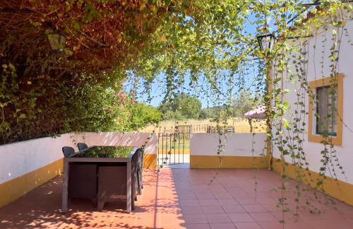 Qta Casa Seleiras - Guest House - Foto 1