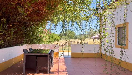 Qta Casa Seleiras - Guest House - Foto 1, Garden