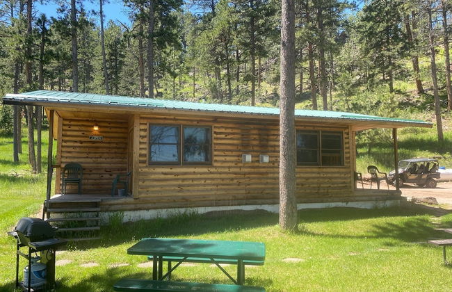 Pine Rest Cabins - Foto 49