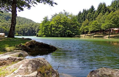 Agriturismo Il Falco del Monte Fumaiolo - Foto 22