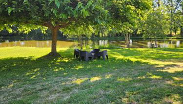 Menthe - Foto 3